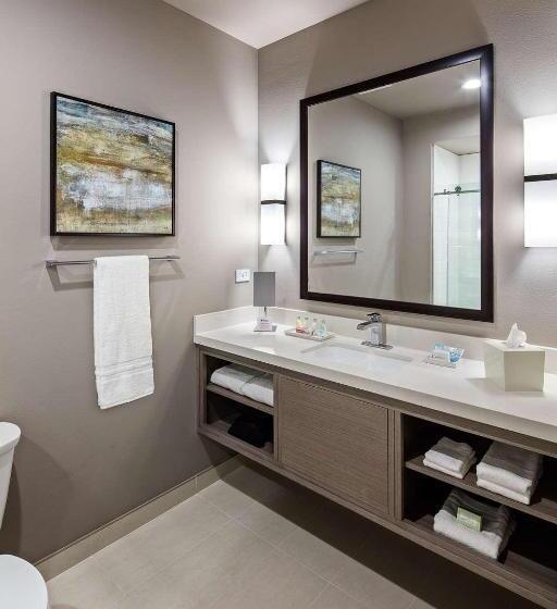 身障者適用スタンダードルーム, Wyndham Garden Katy Energy Corridor