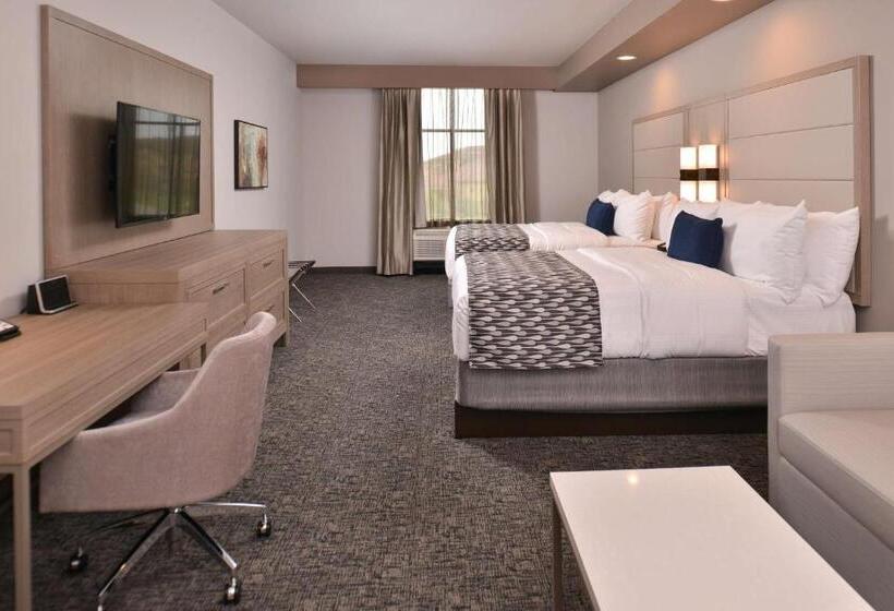 适合残疾人使用的标准间, Wyndham Garden Katy Energy Corridor