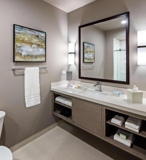 适合残疾人使用的标准间, Wyndham Garden Katy Energy Corridor