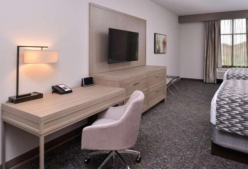 身障者適用スタンダードルーム, Wyndham Garden Katy Energy Corridor