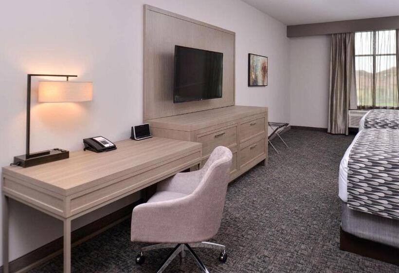 适合残疾人使用的标准间, Wyndham Garden Katy Energy Corridor