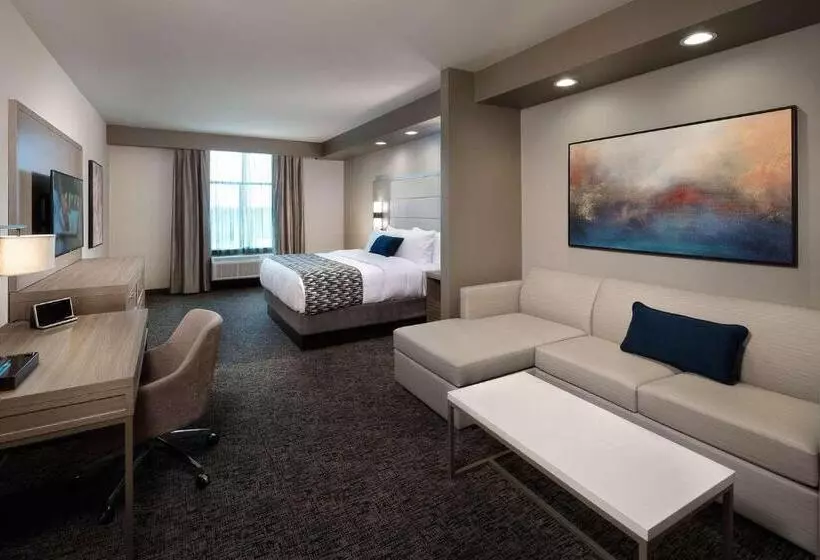キングサイズベッドのスイートルーム, Wyndham Garden Katy Energy Corridor