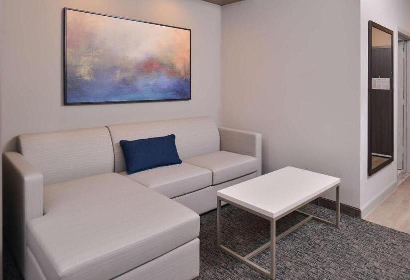 带大床的套房, Wyndham Garden Katy Energy Corridor