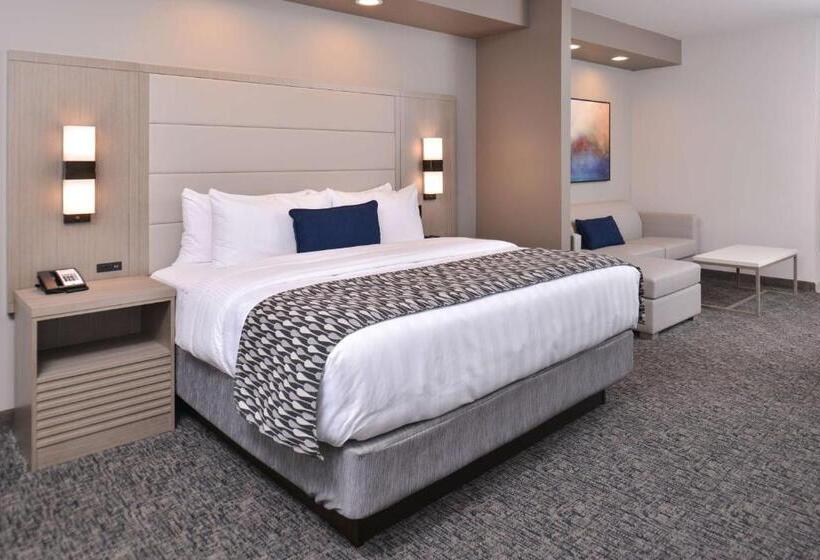 带大床的套房, Wyndham Garden Katy Energy Corridor