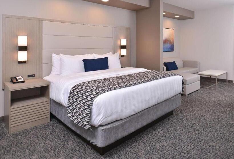 带大床的套房, Wyndham Garden Katy Energy Corridor