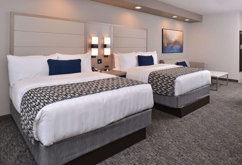 身障者適用スタンダードルーム, Wyndham Garden Katy Energy Corridor