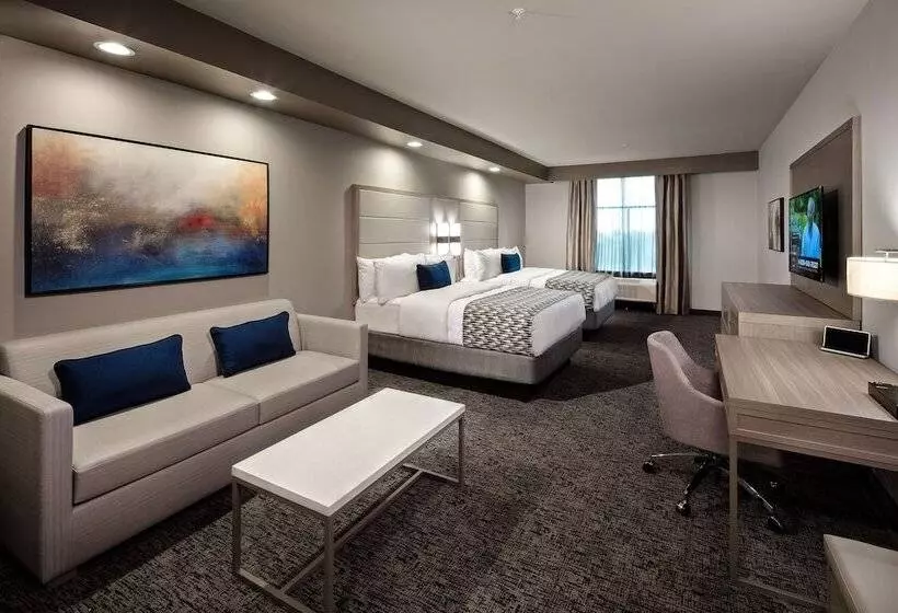 身障者適用スタンダードルーム, Wyndham Garden Katy Energy Corridor