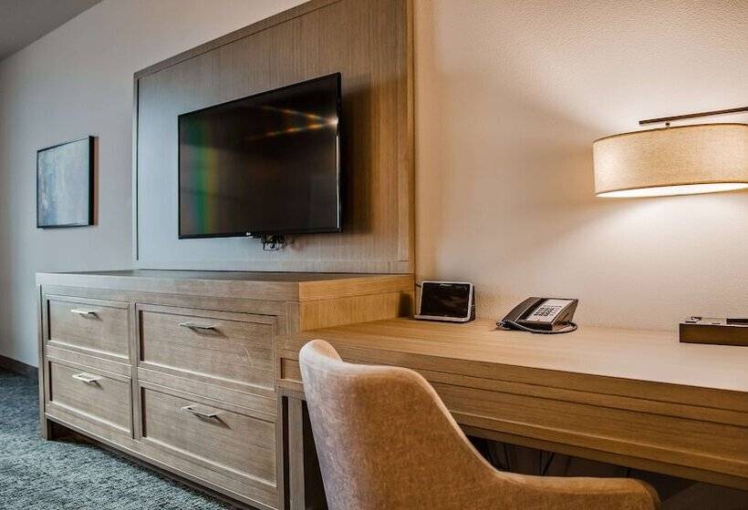 身障者適用スタンダードルーム, Wyndham Garden Katy Energy Corridor