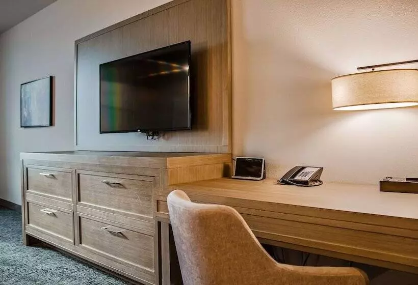 身障者適用スタンダードルーム, Wyndham Garden Katy Energy Corridor