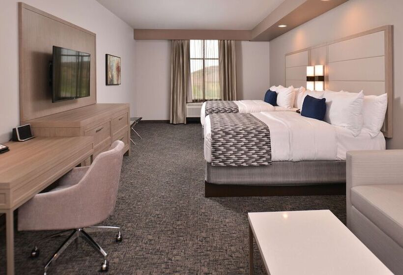 スタンダードルーム, Wyndham Garden Katy Energy Corridor