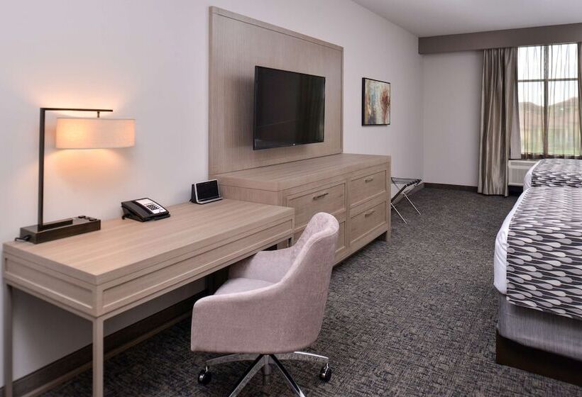 标准间, Wyndham Garden Katy Energy Corridor