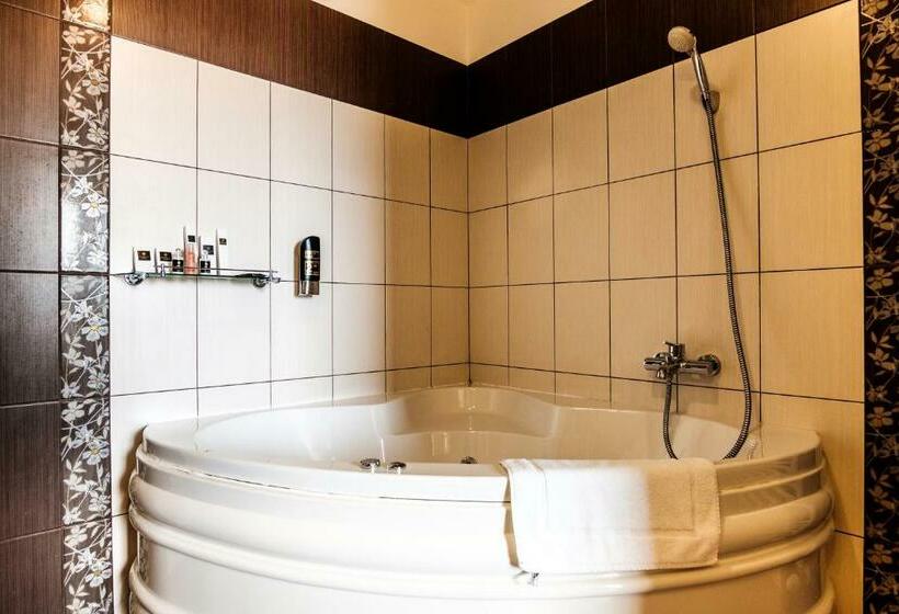 컴포트 룸, Comfort With Free Wellness And Fitness Centrum