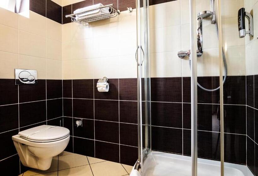 컴포트 싱글 룸, Comfort With Free Wellness And Fitness Centrum