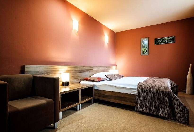 컴포트 싱글 룸, Comfort With Free Wellness And Fitness Centrum