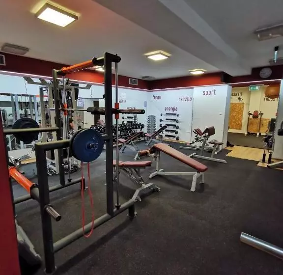 Deluxe Yhden Hengen Huone, Forum Fitness Spa & Wellness