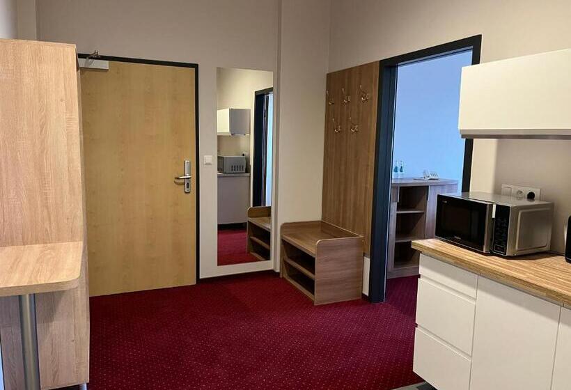 اتاق دلوکس مخصوص معلولین, Meeting