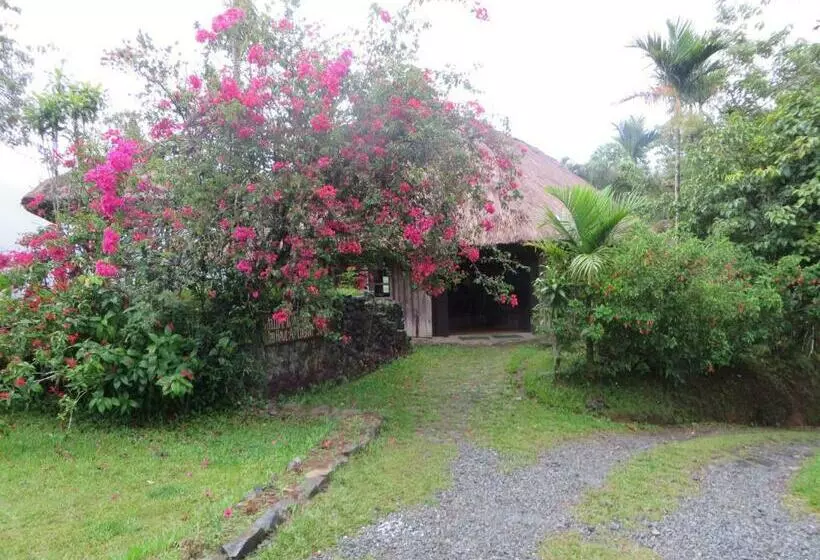 Deluxe-huone, Native Village Inn