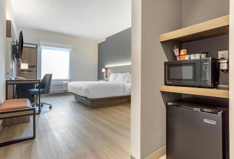 キングサイズベッドのスタンダードルーム, Comfort Inn & Suites Newark Liberty International Airport