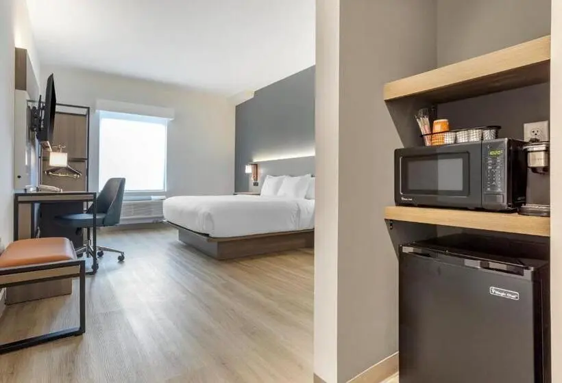 اتاق استاندارد با تخت بزرگ, Comfort Inn & Suites Newark Liberty International Airport