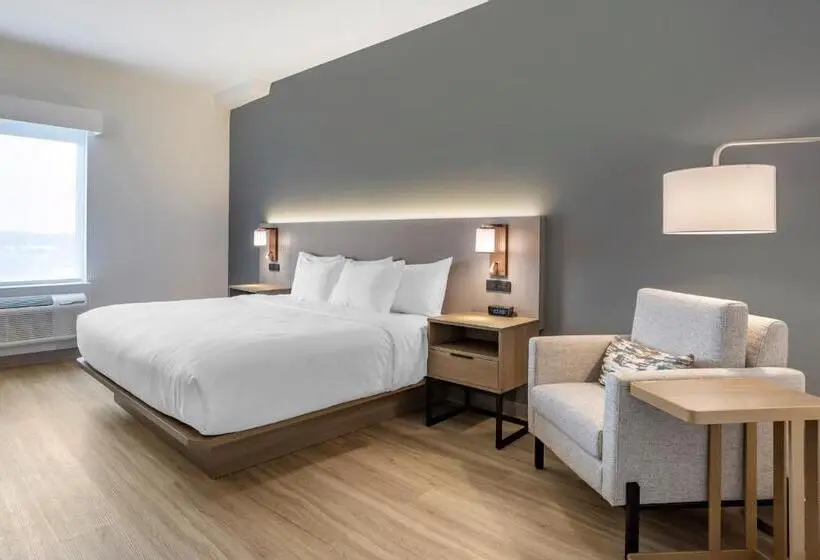 اتاق استاندارد با تخت بزرگ, Comfort Inn & Suites Newark Liberty International Airport