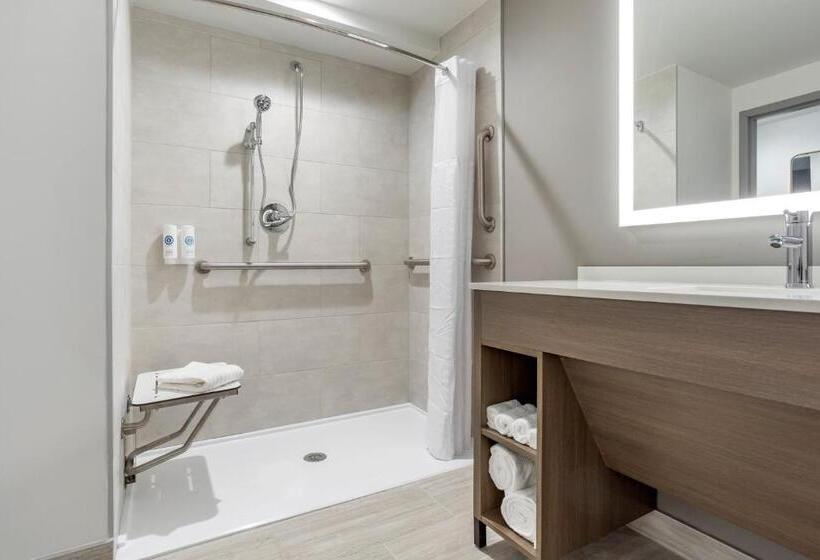 스탠다드 룸 킹사이즈 침대, Comfort Inn & Suites Newark Liberty International Airport