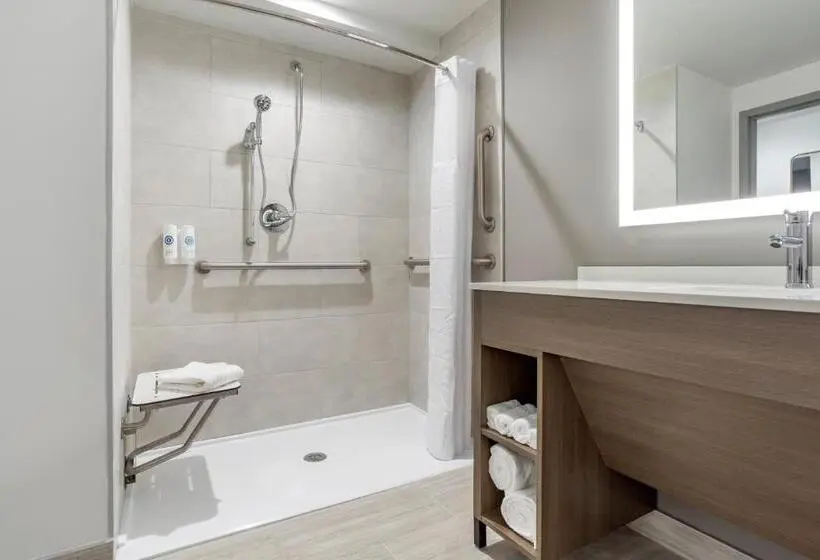 اتاق استاندارد با تخت بزرگ, Comfort Inn & Suites Newark Liberty International Airport