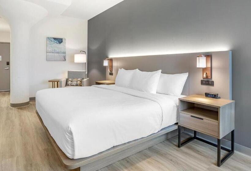 스탠다드 룸 킹사이즈 침대, Comfort Inn & Suites Newark Liberty International Airport