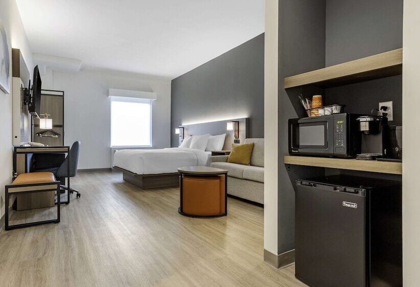 身障者適用スイートルーム, Comfort Inn & Suites Newark Liberty International Airport