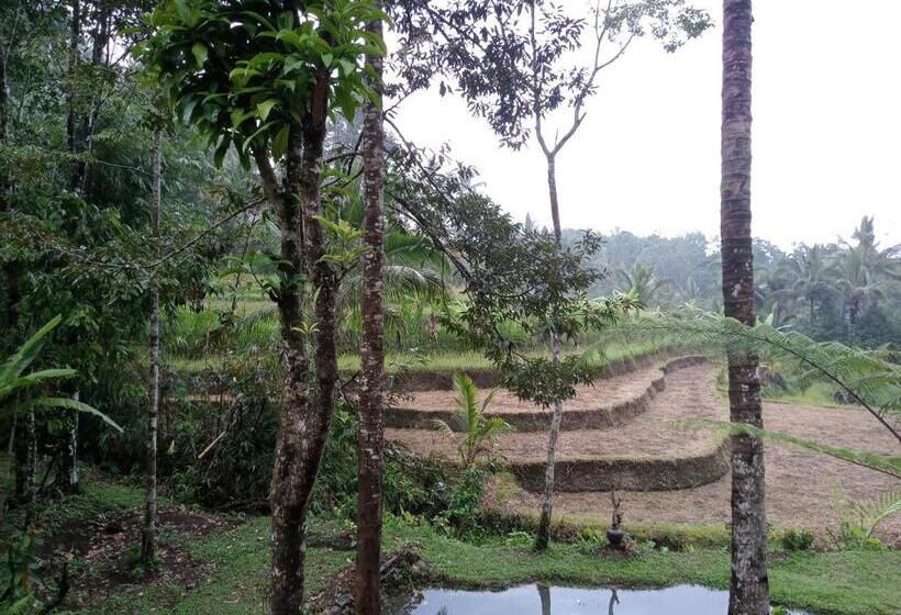 三人经典房间, Duegoal Farmhouse