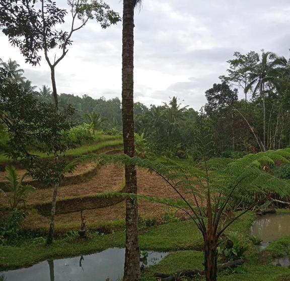 三人经典房间, Duegoal Farmhouse