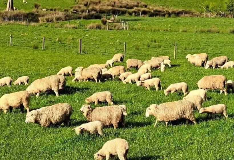 ４ベッドルームハウス, Jilly Park Farmstay Experience Discover Authentic Farm Life Complimentary Breakfast Included