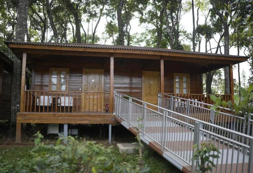 חדר סטנדרט עם מיטת קינג, Regenta Resort Sakleshpur