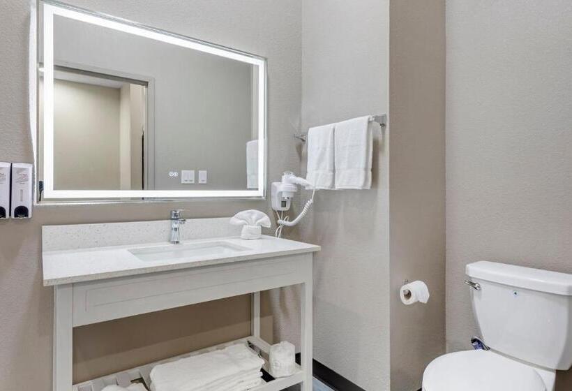 חדר סופריור עם מיטת קינג, Red Roof Inn Hutchins