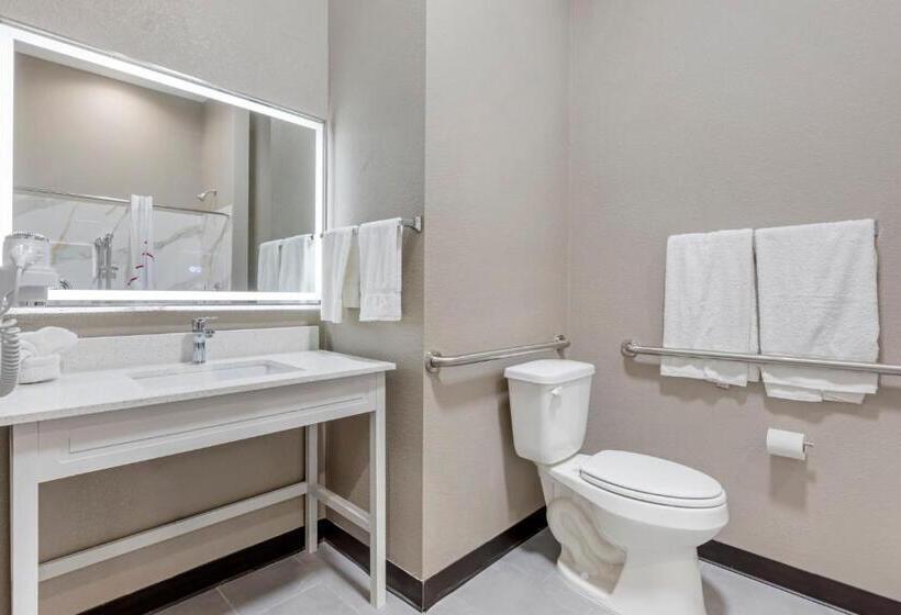 חדר סופריור מותאם לאדם עם מוגבלויות, Red Roof Inn Hutchins