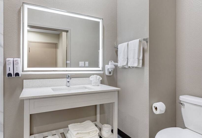 חדר סופריור, Red Roof Inn Hutchins