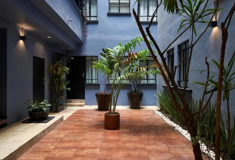 Standard Neljän Hengen Huone, Amazinn Places La Condesa Roma