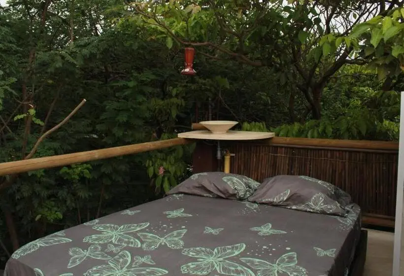 اتاق استاندارد با چشم‌انداز کوهستان, Bio Coliving Tayrona