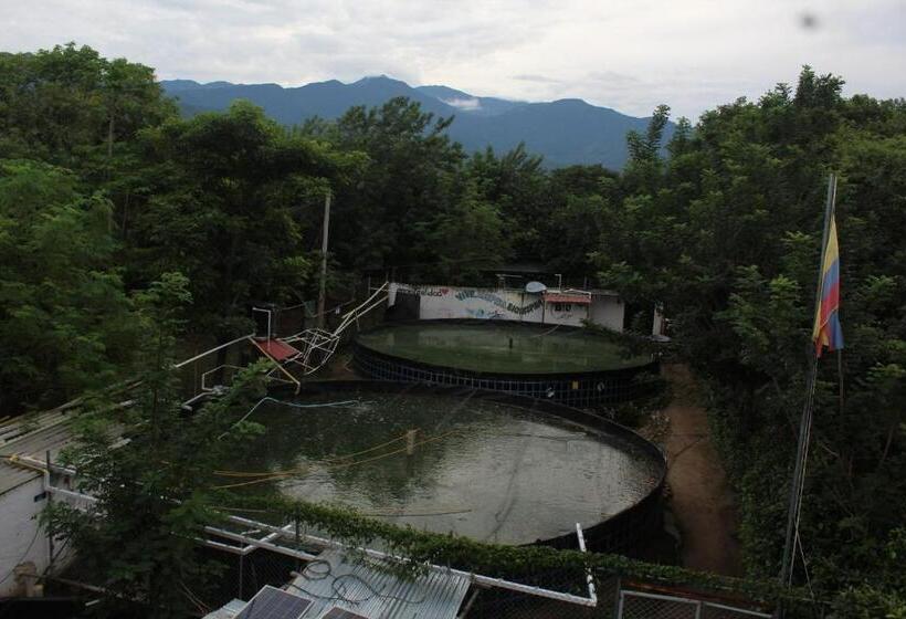 Номер Стандарт Вид на Горы, Bio Coliving Tayrona