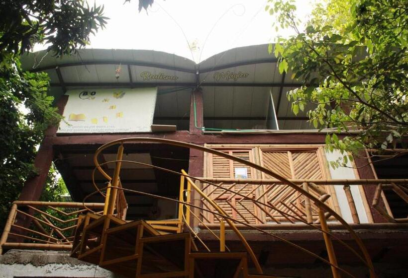 Номер Стандарт Вид на Горы, Bio Coliving Tayrona