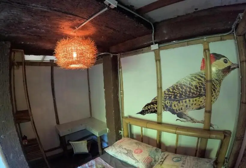 اتاق لوکس, Bio Coliving Tayrona