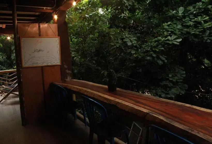 اتاق لوکس, Bio Coliving Tayrona