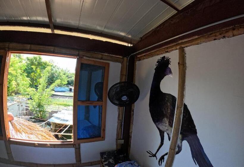 Номер Deluxe, Bio Coliving Tayrona