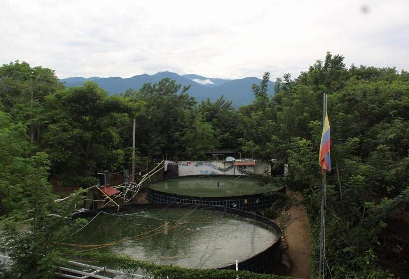 Студио Стандарт Кровать Кинг, Bio Coliving Tayrona