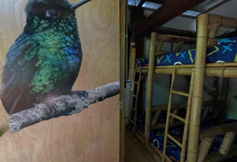 Кровать в Общей Комнате, Bio Coliving Tayrona