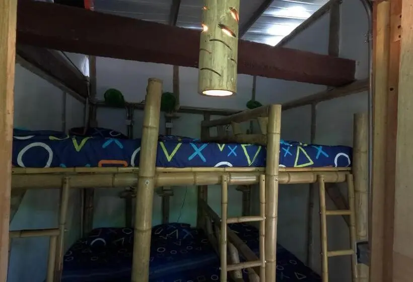 تختخواب در اتاق مشترک, Bio Coliving Tayrona
