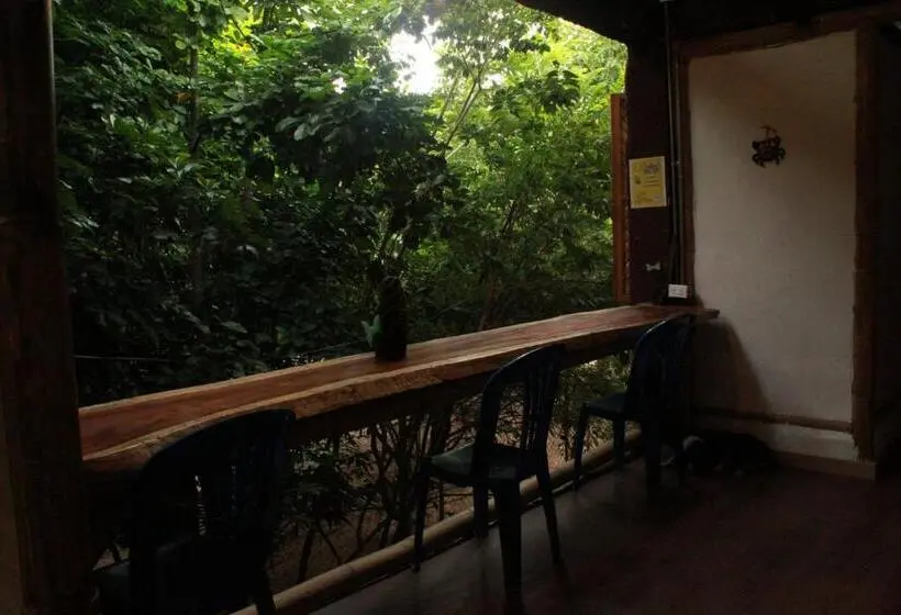 تختخواب در اتاق مشترک, Bio Coliving Tayrona
