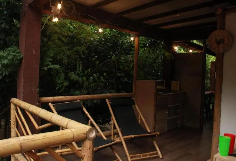 تختخواب در اتاق مشترک, Bio Coliving Tayrona