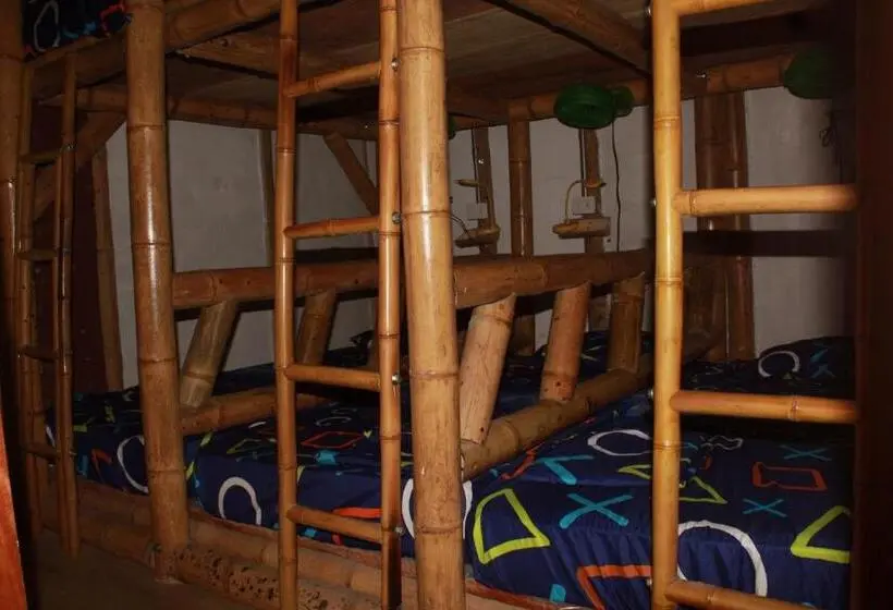 تختخواب در اتاق مشترک, Bio Coliving Tayrona
