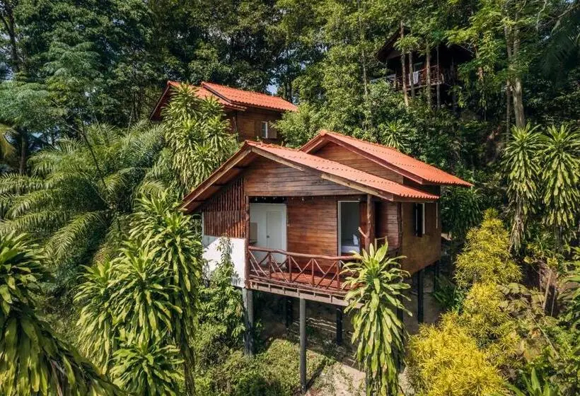 スタンダードバンガロー, The Source Yoga And Nature Retreat Koh Phangan