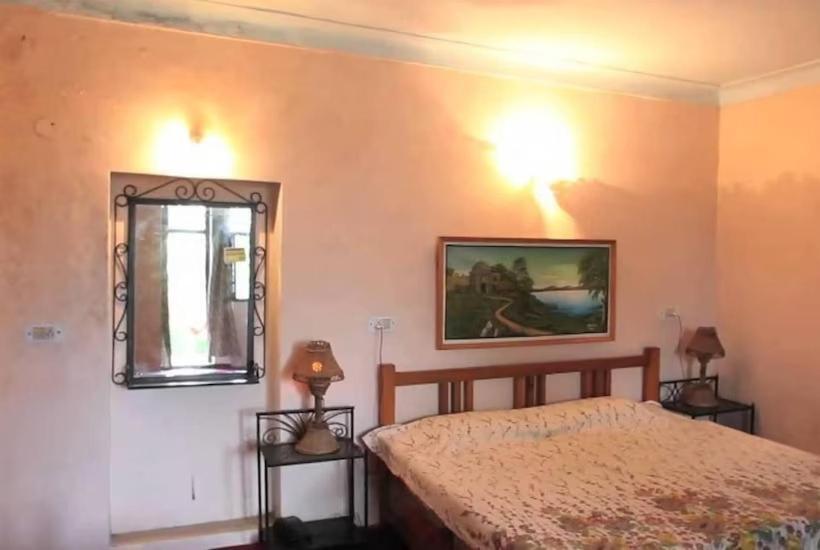 标准间, The Royal Mountain